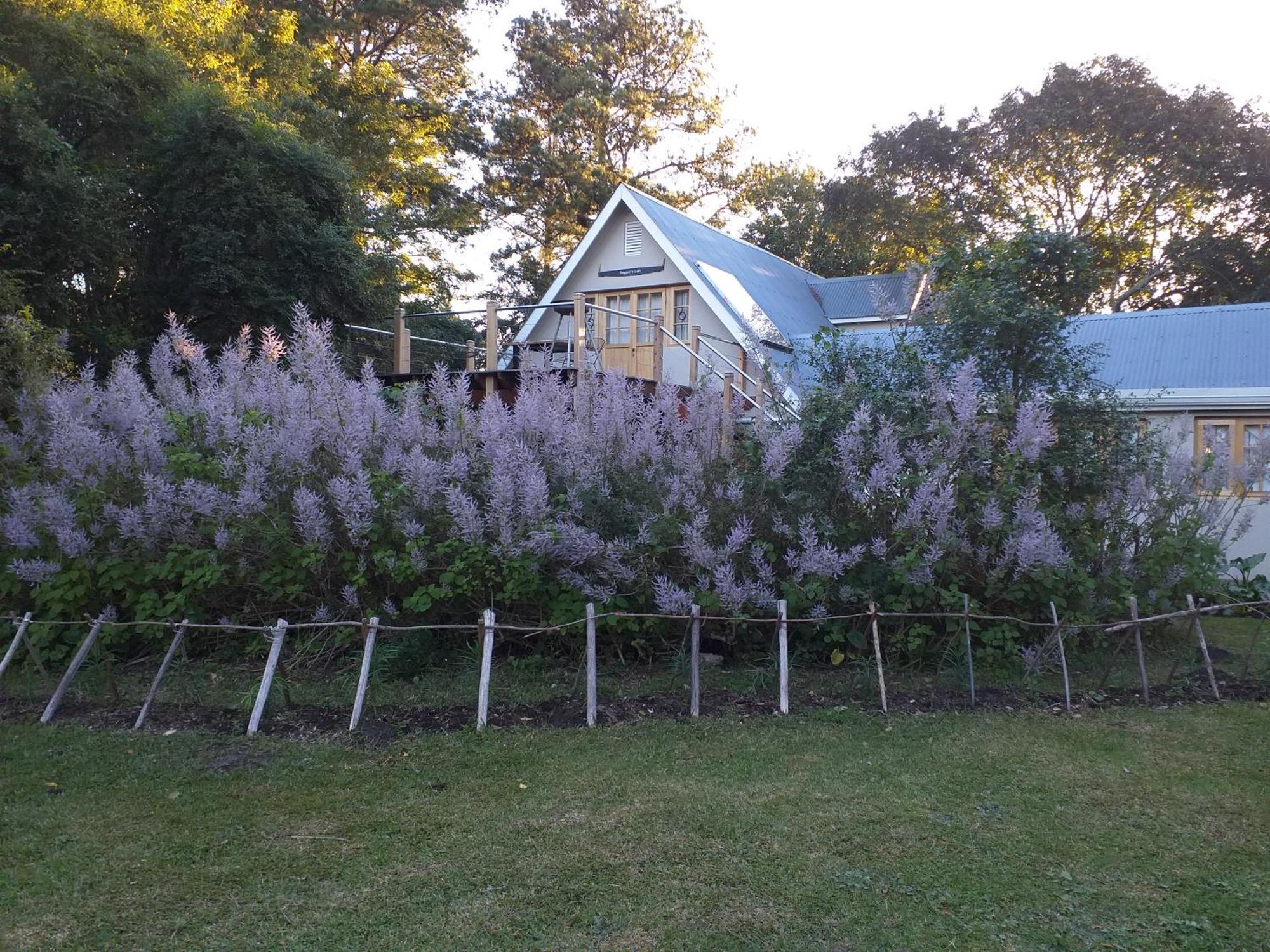 Appartamento Loggers Loft Stormsrivier Esterno foto